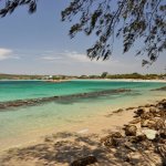 lk_ac_junglebeachst1.jpg