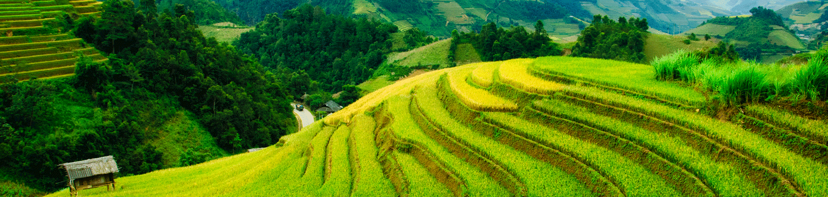 Rondreis Vietnam