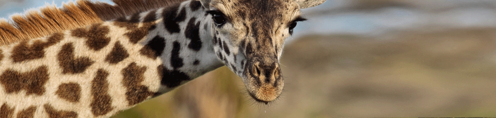 Rondreis Tanzania