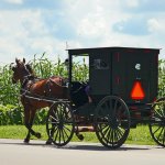Amish