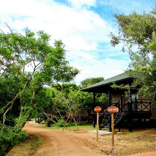 Cinnamon Wild Yala, exterieur