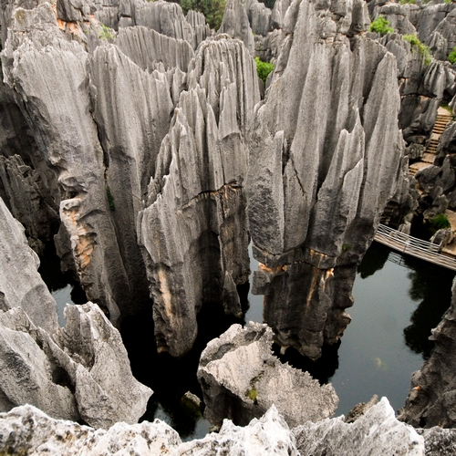 Stenen Woud, Kunming