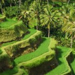 id_al_ubud1.jpg