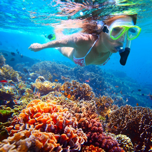 id_al_snorkelen_109929368.jpg