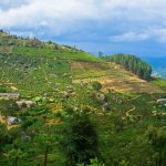 lk_al_bandarawela.jpg