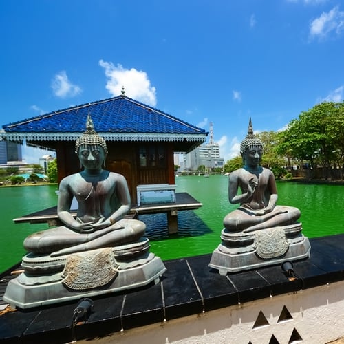 Boedha beelden in Colombo