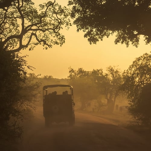 Jeep in Yala NP