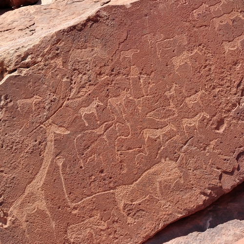 Prehistorische rotstekeningen van de San