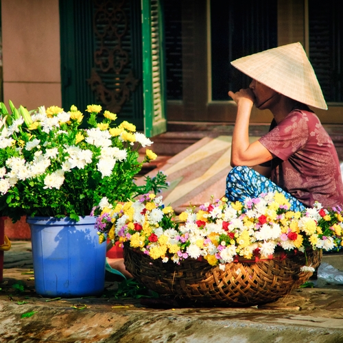Bloemen in Hanoi