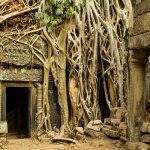 kh_al_angkor_wat1.jpg