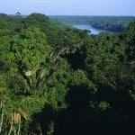 Tambopata national reserve