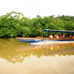 ec_al_means of transport - cotococha.jpg