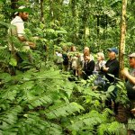 ec_al_useful plants - cotococha.jpg