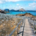 Galapagos eiland