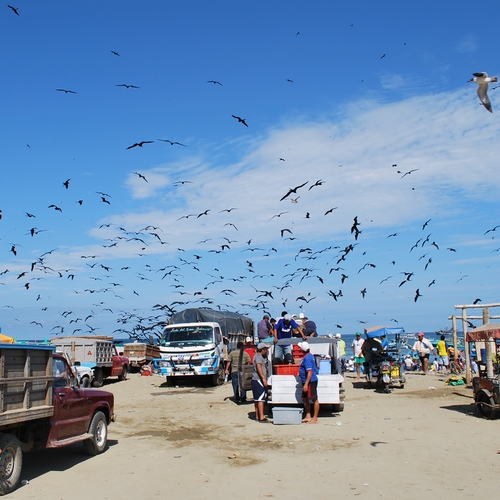 Traditioneel vissersdorp Puerto López