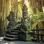Monkey Forest, Ubud