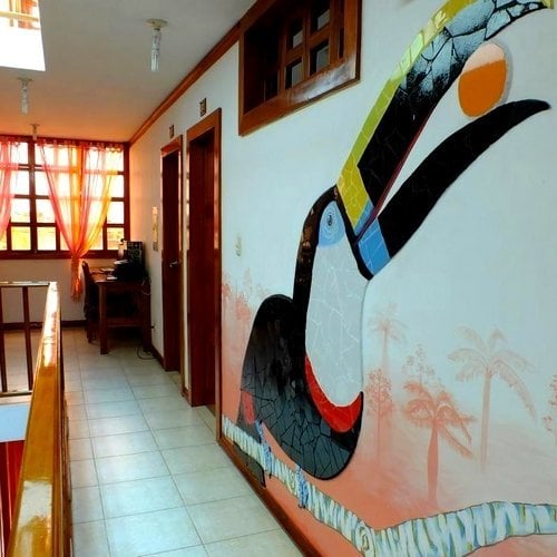 ec_ac_macawov.jpg