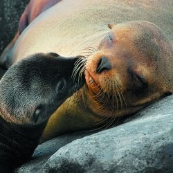 ec_al_galápagos 1.jpg