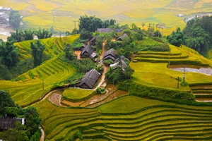 Sapa