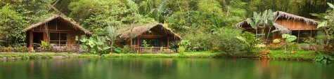Jungle verblijf in het bovenste Amazonegebied