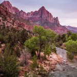 us_al_zionnp2.jpg