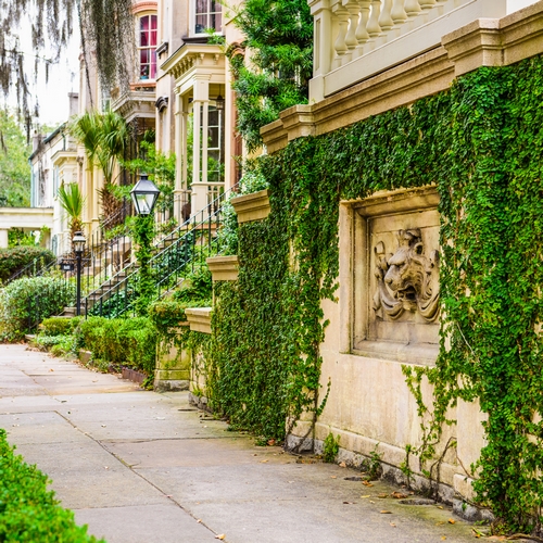 Savannah