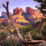 us_al_sedonacathedralrock2.jpg
