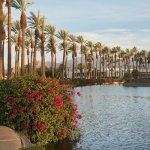 us_al_palmsprings2.jpg