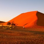 za_al_sos_dune45.jpg