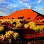 Omgeving sossusvlei