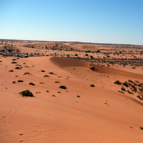 Kalahari woestijn