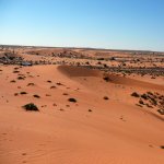 za_al_kalahari.jpg