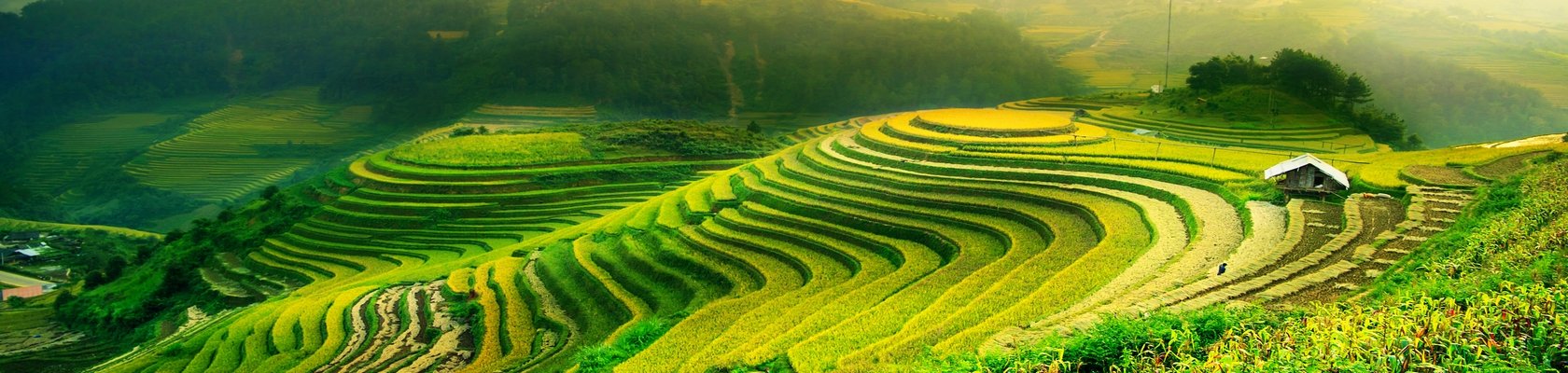Sapa