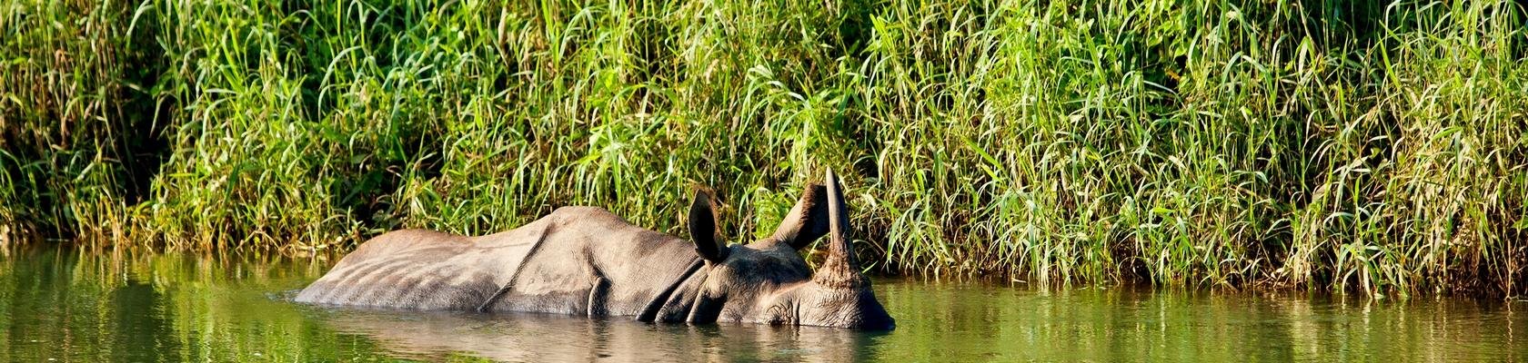 Chitwan Nationaal Park