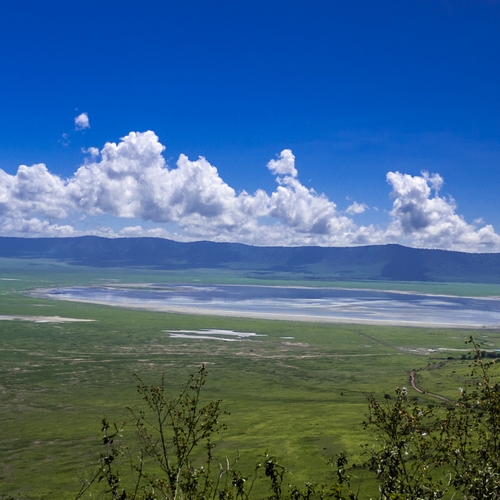 Ngorongoro krater