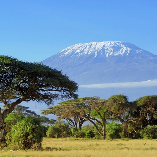 Amboseli Nationaal Park en Kilimanjaro
