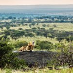 ke_al_serengeti2.jpg