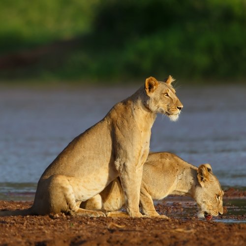 ke_al_samburu national park.jpg
