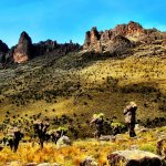 ke_al_mtkenya.jpg