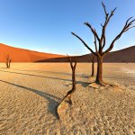 na_al_deadvlei.jpg