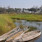 Okavanga Delta Mokoro