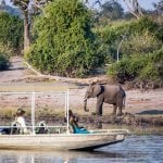 Chobe River, boot en olifant