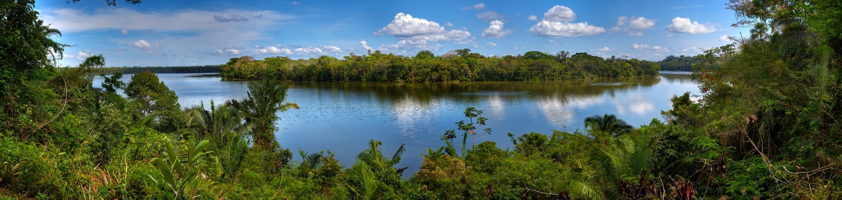 Tambopata