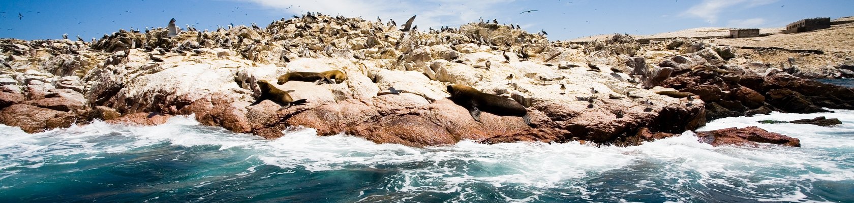 Ballestas