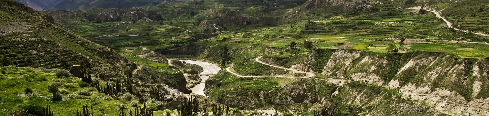 Colca