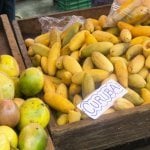 Markt in San Jos&eacute;