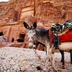 jo_al_petra4.jpg