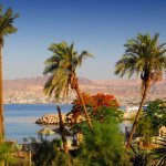 jo_al_aqaba2.jpg