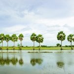 Chau Doc
