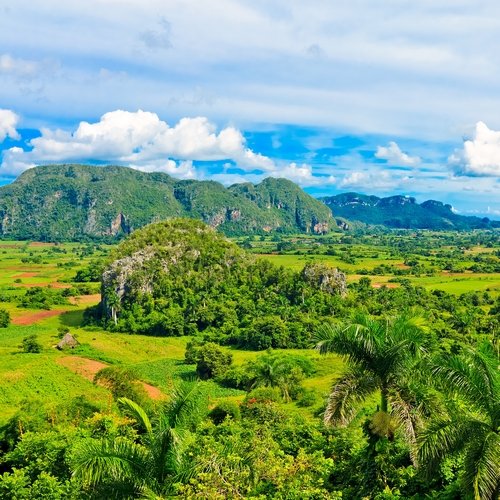 cu_al_ vinales valley.jpg